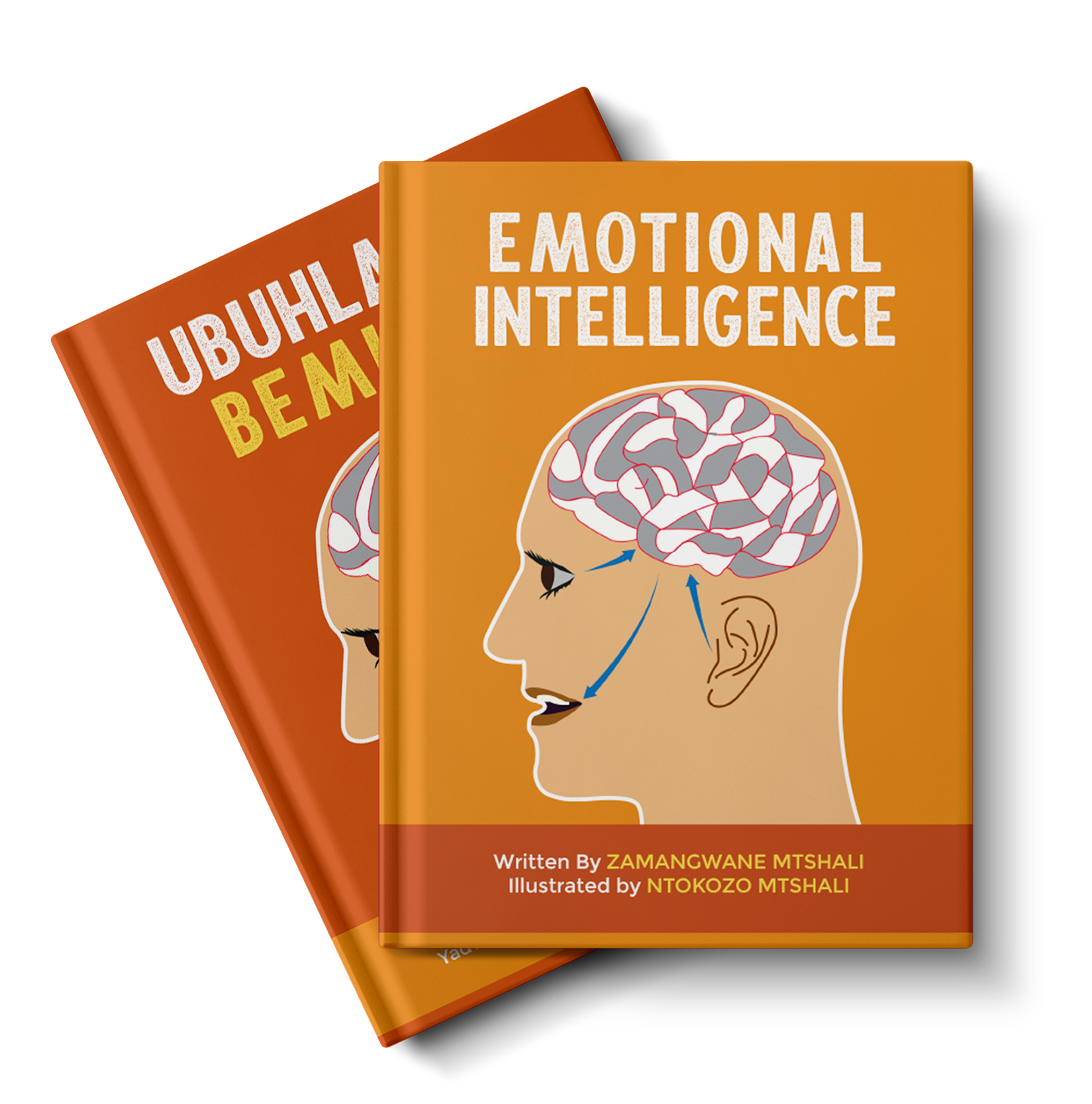 EMOTIONAL-INTELLIGENCE